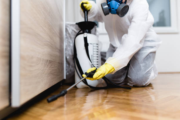 Best Termite Control Services  in Indian Head Park, IL