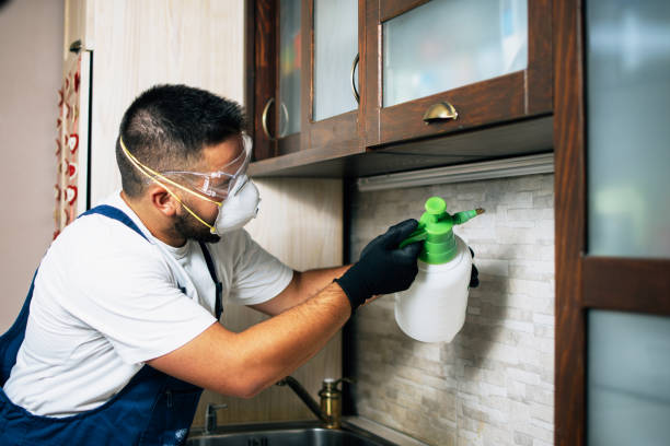 Best Exterminator Services  in Indian Head Park, IL