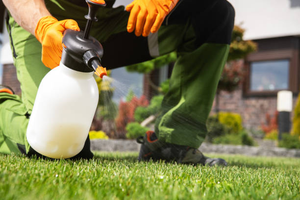 Best Flea Control Services  in Indian Head Park, IL