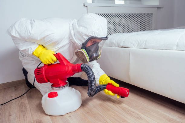 Wasp Removal Services in Indian Head Park, IL