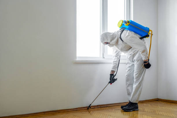 Best Bed Bug Extermination  in Indian Head Park, IL