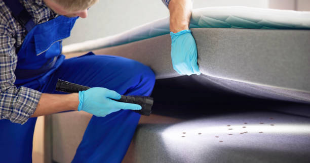 Best Cockroach Control Services  in Indian Head Park, IL